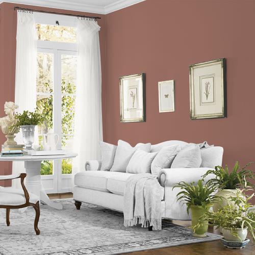 Safari Brown MEN7089-5