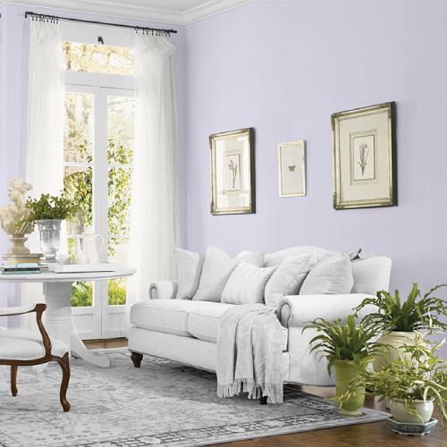 Lavender Haze MEN7052-3