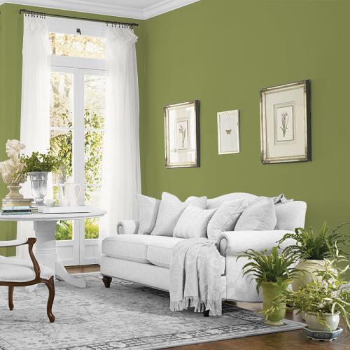 Glade Green MEN7167-6