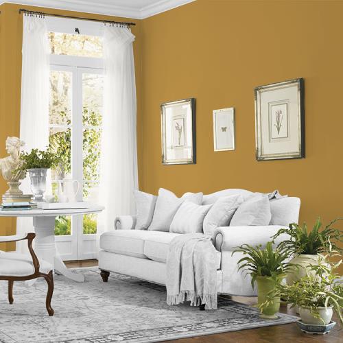 Butterscotch Ripple MEN7137-6