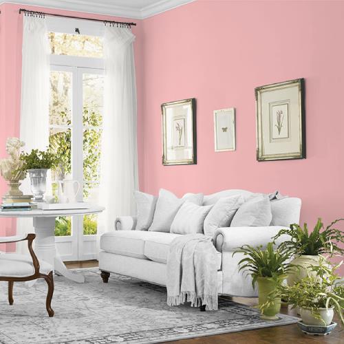 Strawberry Mousse MEN7072-3