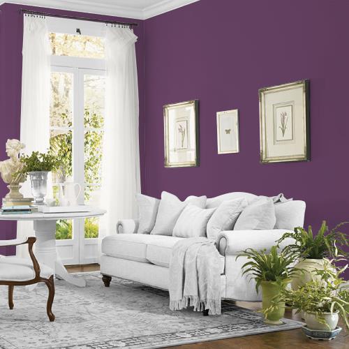 Royal Plum MEN7057-6