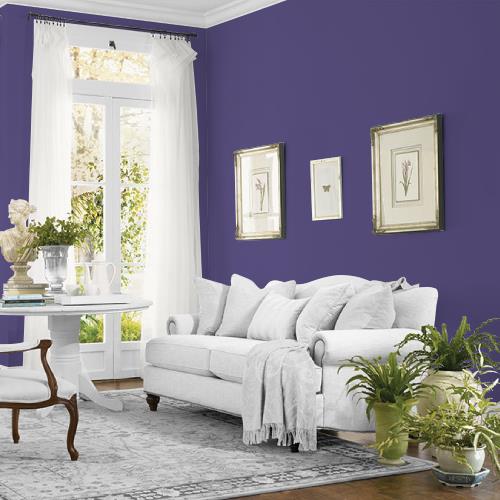 Imperial Purple MEN7052-6