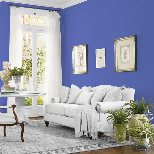 Blue Calico MEN7051-3