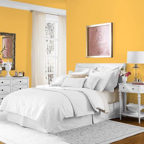 Yellow Coneflower MEN7131-2