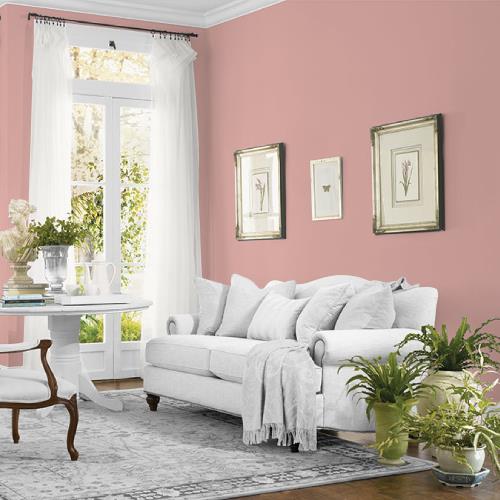 Raffia Cream MEN7073-4