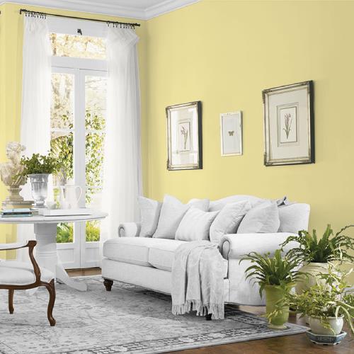 Subtle Sunshine MEN7157-2