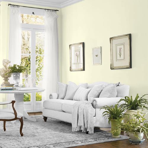 Capri Cream MEN7146-1