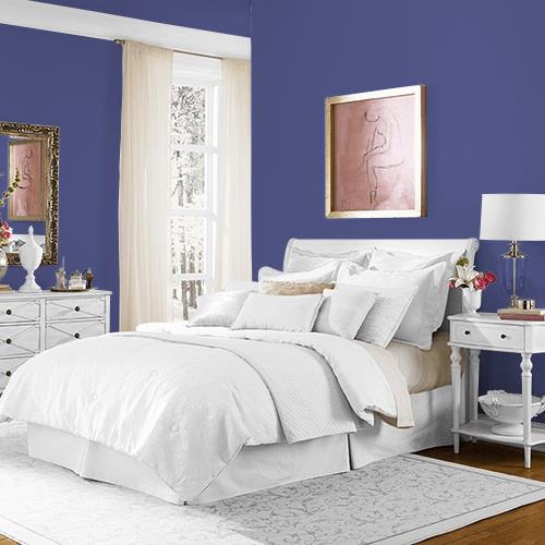 Roman Violet MEN7047-6