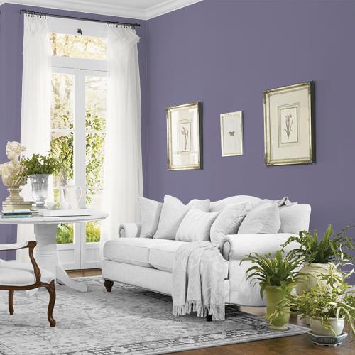 Plum Shade MEN7043-5