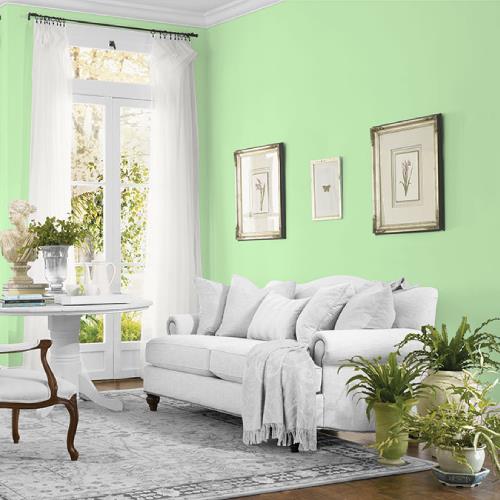 Almost Aloe MEN7176-2