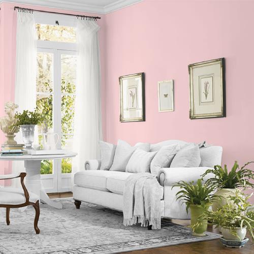 Pink Cardoon MEN7072-2