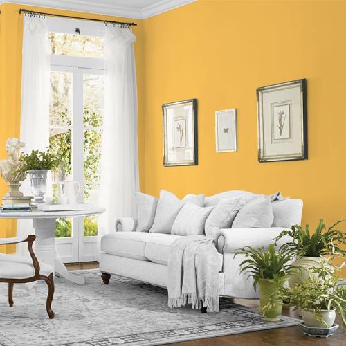 Yellow Coneflower MEN7131-2