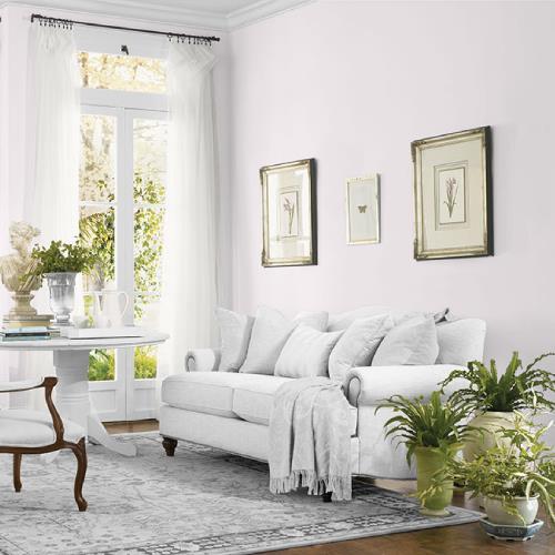 Misty Morn MEN7058-1