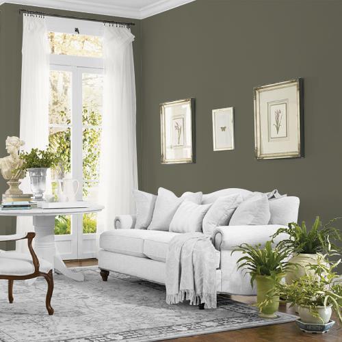 Nevergreen MEN7180-5