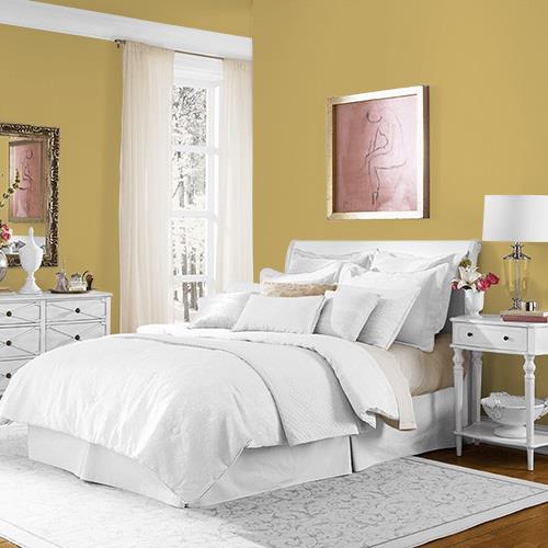 Shutter Bug MEN7152-5