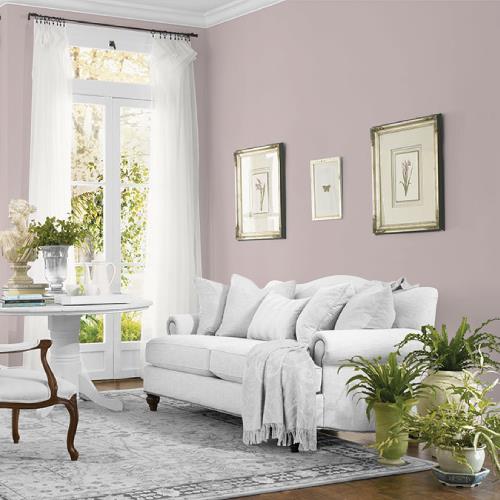 Jack Rabbit MEN7090-3