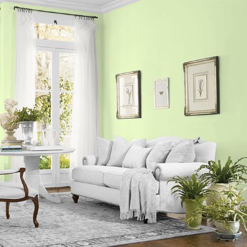 Mellow Mint MEN7166-2