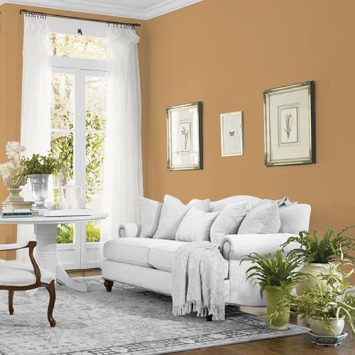 Honey Haven MEN7122-5