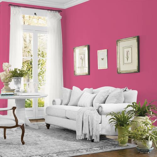 Panama Rose MEN7066-3