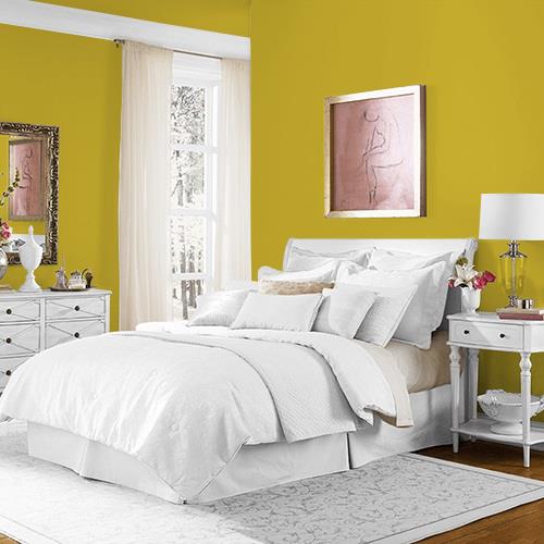 Pollination MEN7156-3