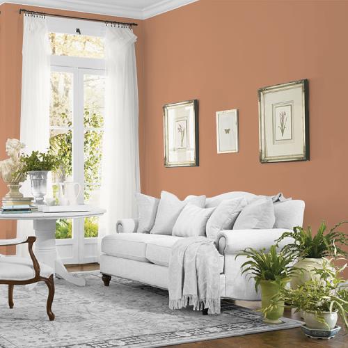 Honey Graham MEN7092-5