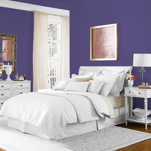 Imperial Purple MEN7052-6