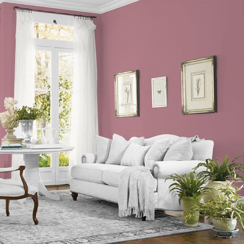 Mauve Madness MEN7063-4