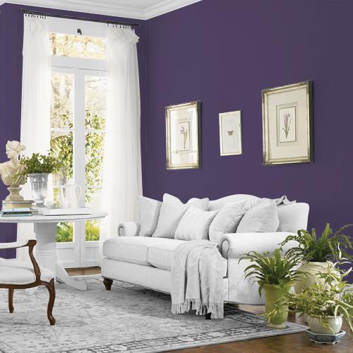 Royal Indigo MEN7048-6