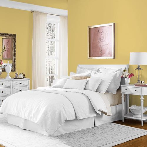 Spicy Mustard MEN7152-4