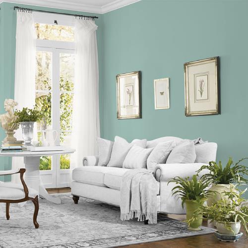 Parakeet Pete MEN7199-4