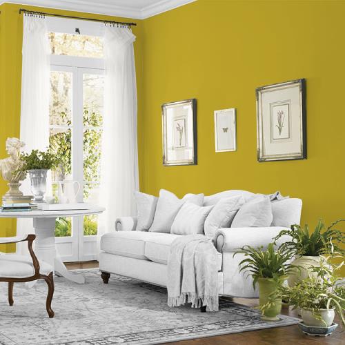 Pollination MEN7156-3