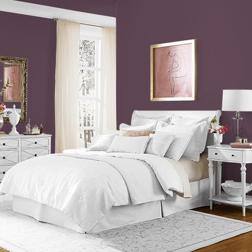 Purple Basil MEN7054-6