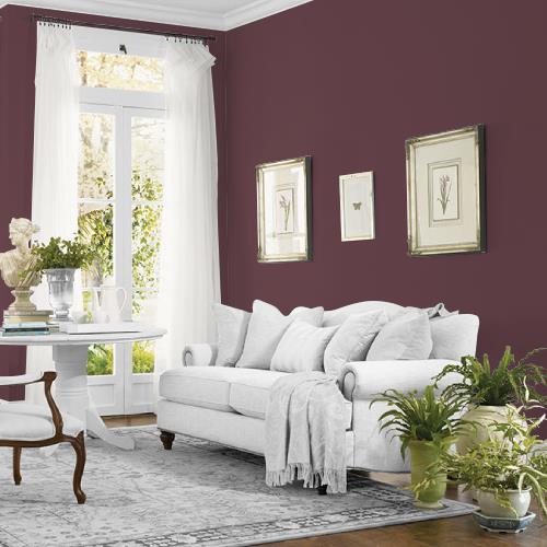 Gooseberry MEN7059-6