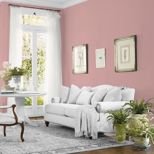 Pepperberry MEN7079-4