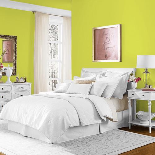 Slap Happy MEN7161-3