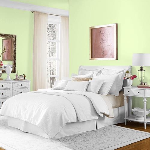 Mellow Mint MEN7166-2