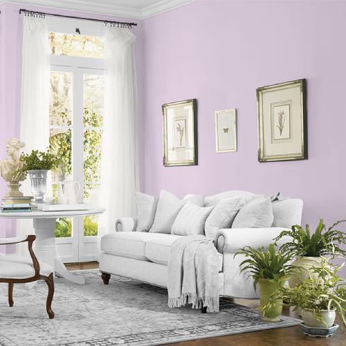 Shy Violet MEN7053-3