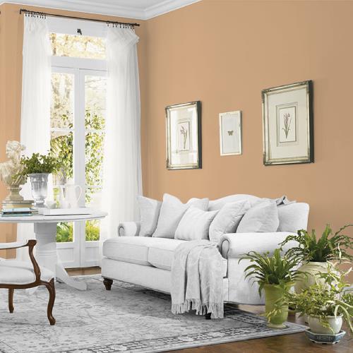 Siesta Dreams MEN7113-4