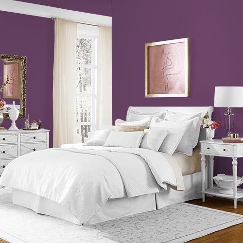 Royal Plum MEN7057-6