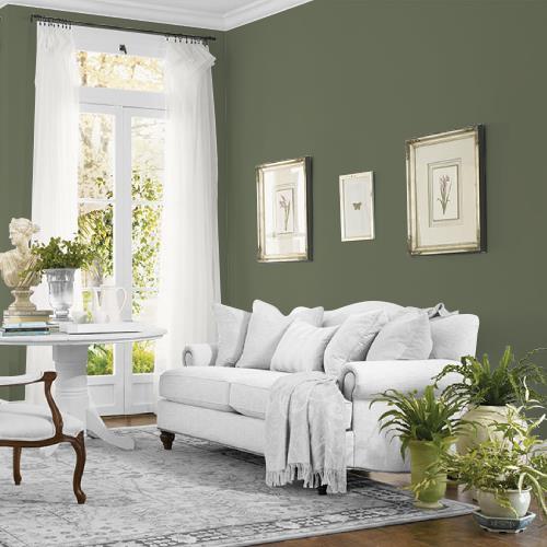 All About Olive MEN7183-6