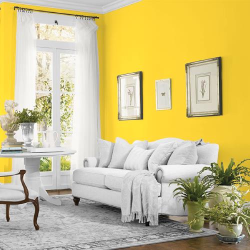 Flirtatious MEN7146-3