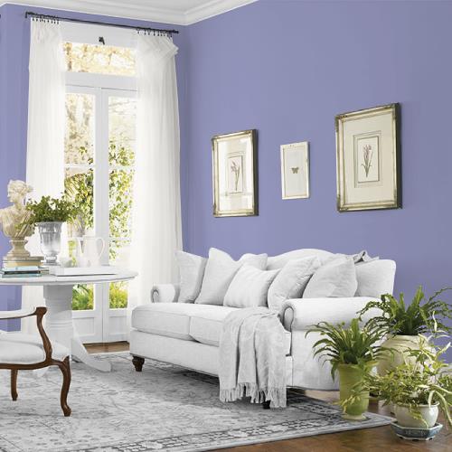 Fresh Lavender MEN7047-4