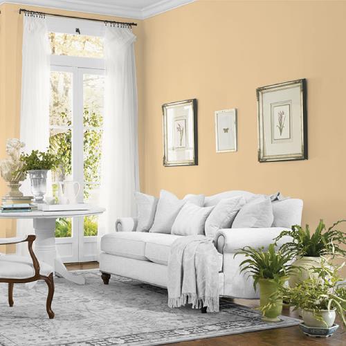 Faint Fawn MEN7122-4