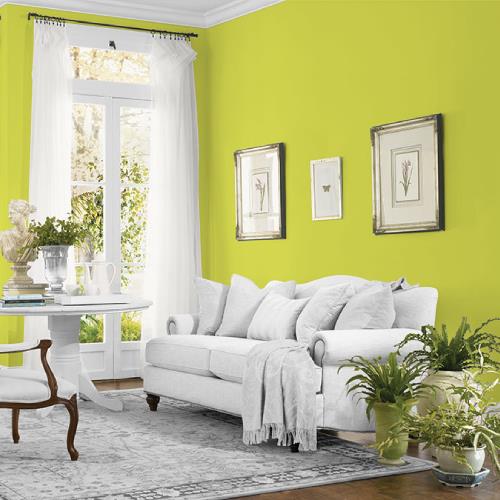 Slap Happy MEN7161-3