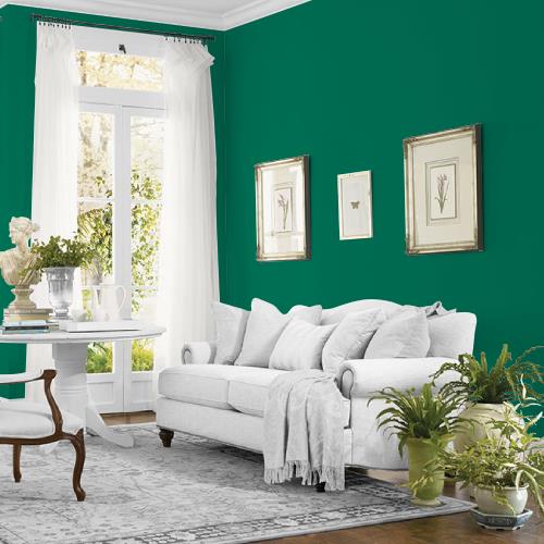 Peacock Green MEN7187-6