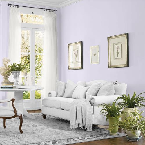 Misty Violet MEN7056-2