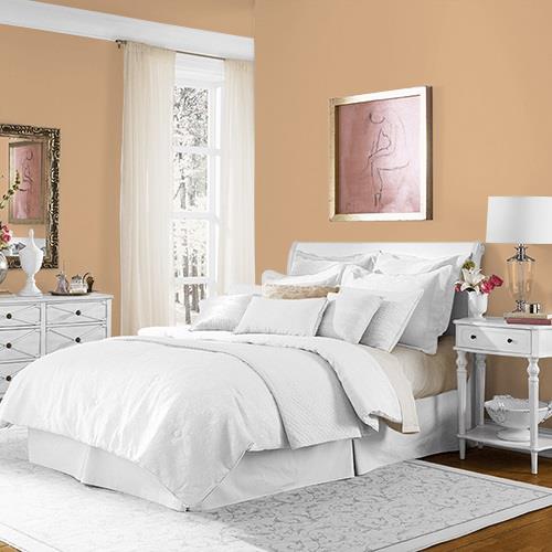 Siesta Dreams MEN7113-4