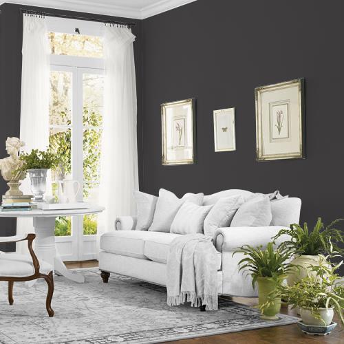 BLACK MAGIC MEN7065-6