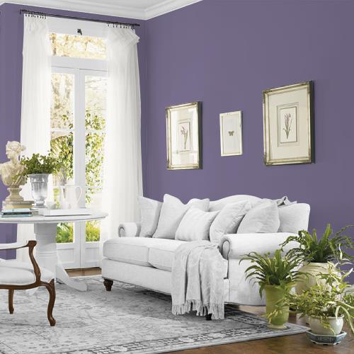 Purple Rain MEN7048-5